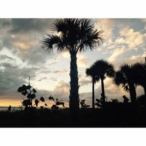 Meet your Posher, Sue ellen